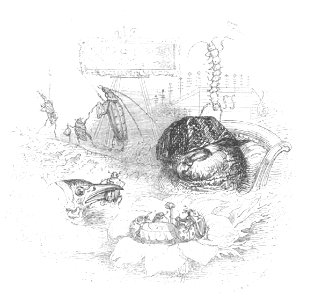 Scènes de la vie privée et publique des animaux, tome 2 0238