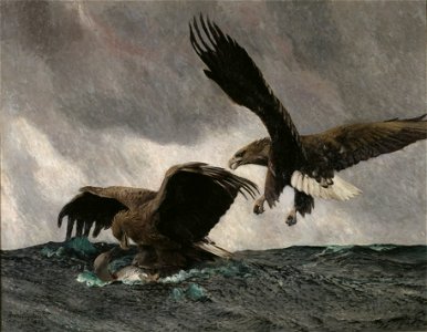 Sea Eagles (Bruno Liljefors) - Nationalmuseum - 18508