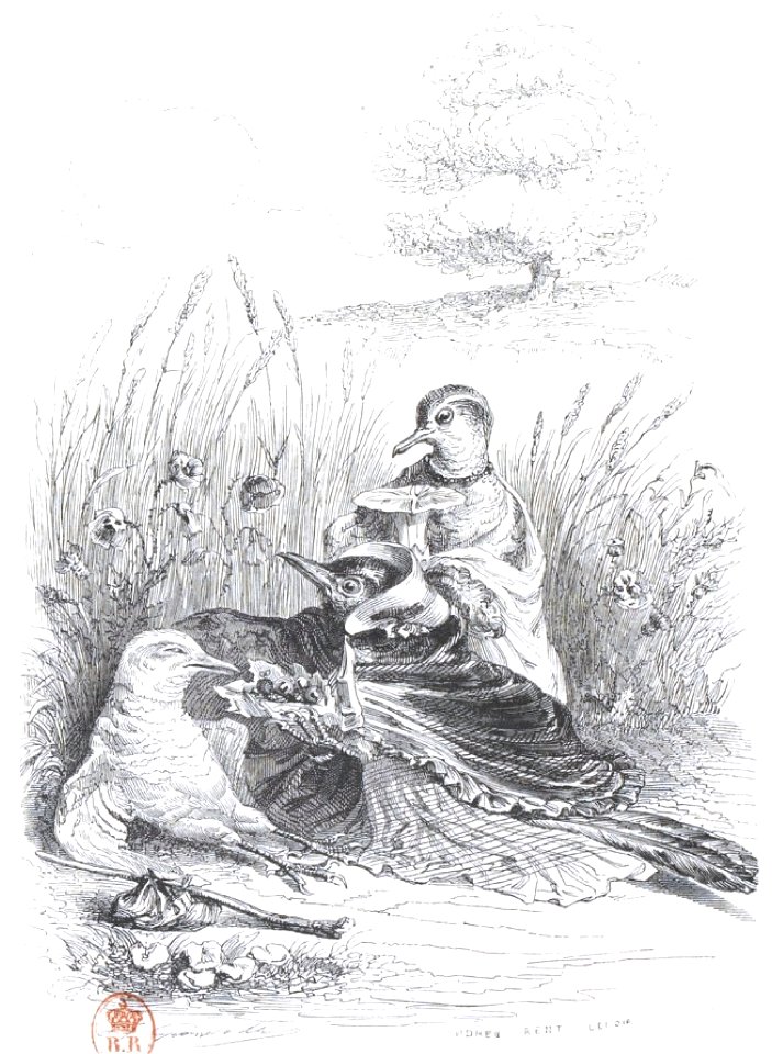Scènes de la vie privée et publique des animaux, tome 2 0542
