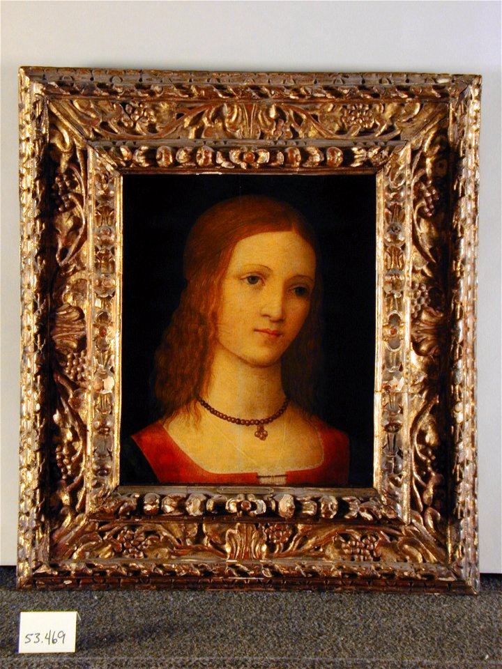 Sebastiano di Bartolo Mainardi - Young Girl - 53.469 - Detroit Institute of Arts