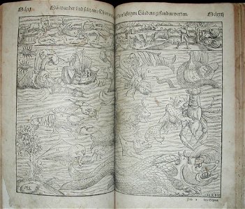 Sea monsters (1578). Free illustration for personal and commercial use.