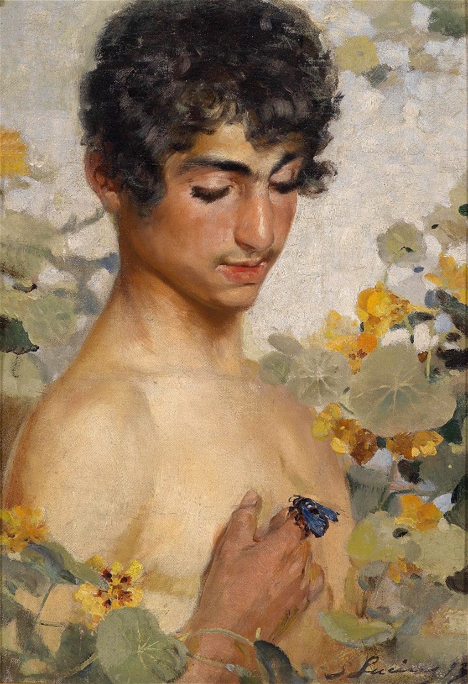 Sebastian Lucius Die Hummel 1893