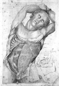Second stage of dissection; torso, 1798 Wellcome L0018093