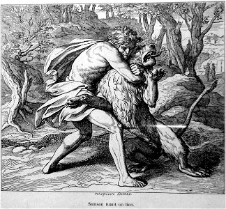 Segur - Bible d une grand mere part 1 p285