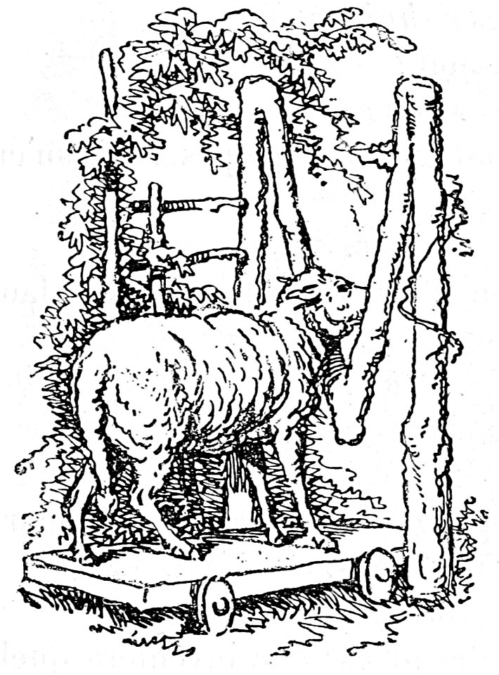 Segur, les bons enfants,1893 p049