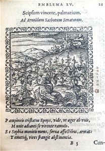 Seipsum vincere, palmarium (BM 1972,U.11.15)