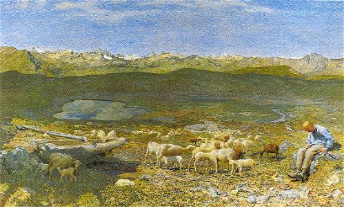 Alpweiden 1895