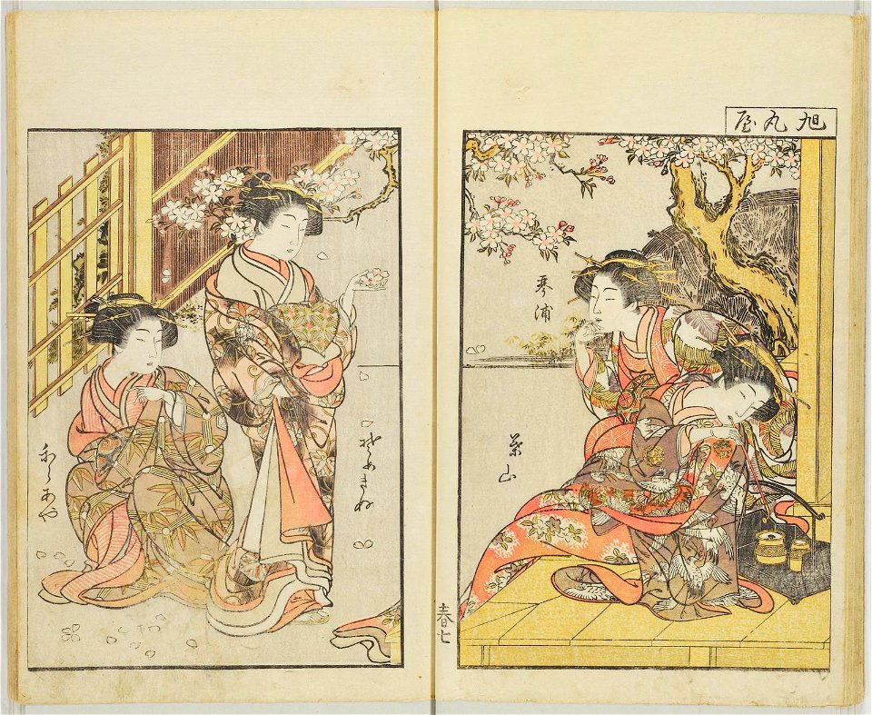 Seiro bijin awase sugata kagami 青楼美人合姿鏡 (A Mirror of Beautiful Women of the Green Houses Compared) (BM 1979,0305,0.124.1 30)