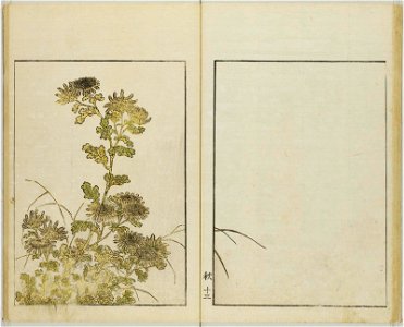 Seiro bijin awase sugata kagami 青楼美人合姿鏡 (A Mirror of Beautiful Women of the Green Houses Compared) (BM 1979,0305,0.124.2 27)