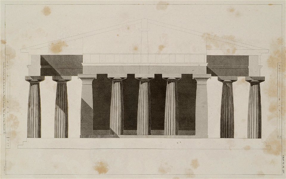 Section through the pronaos - Wilkins William - 1807