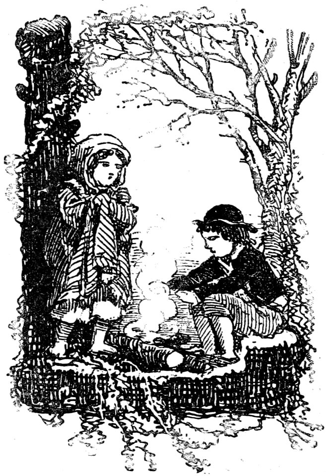 Segur, les bons enfants,1893 p289