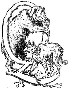 Segur, les bons enfants,1893 p327