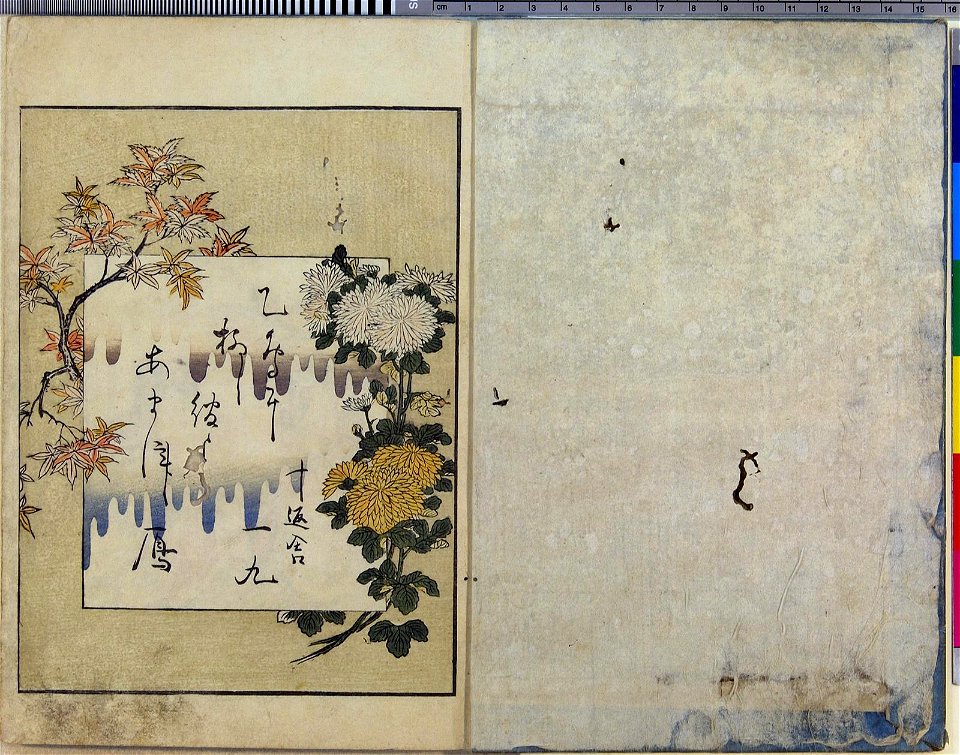 Seiro ehon nenju gyoji 青楼絵本年中行事 (A Picture Book of Annual Events in Yoshiwara) (BM 1979,0305,0.159.1 83)