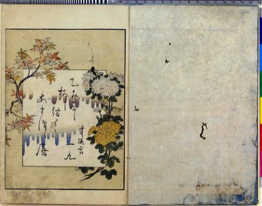 Seiro ehon nenju gyoji 青楼絵本年中行事 (A Picture Book of Annual Events in Yoshiwara) (BM 1979,0305,0.159.1 83)