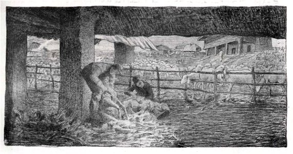 Segantini - Tosatura delle pecore, Ubicazione sconosciuta