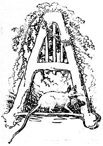 Segur, les bons enfants,1893 p143