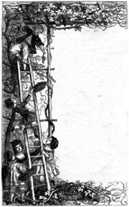 Segur, les bons enfants,1893 p133