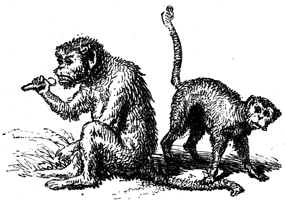 Segur, les bons enfants,1893 p269