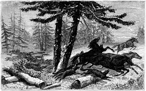 Segur, les bons enfants,1893 p301