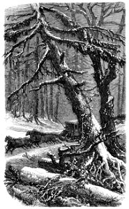 Segur, les bons enfants,1893 p293