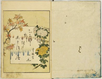 Seiro ehon nenju gyoji 青楼絵本年中行事 (A Picture Book of Annual Events in Yoshiwara) (BM 1979,0305,0.159.2 09)
