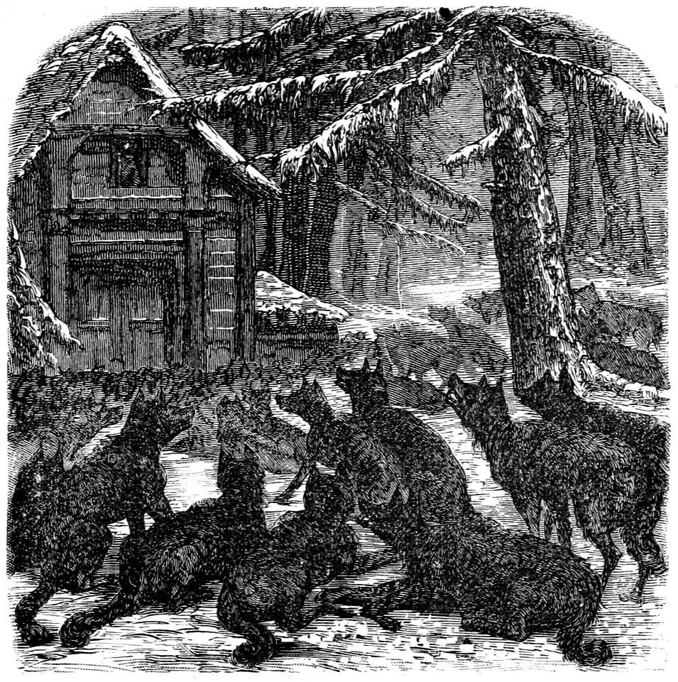 Segur, les bons enfants,1893 p295