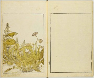 Seiro bijin awase sugata kagami 青楼美人合姿鏡 (A Mirror of Beautiful Women of the Green Houses Compared) (BM 1979,0305,0.124.1 15)