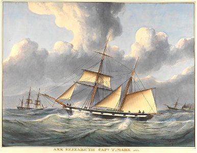 The Ann Elizabeth Captn T Mark, 1853 RMG PY8521