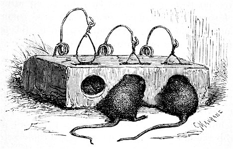 Segur, les bons enfants,1893 p149