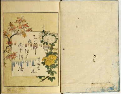 Seiro ehon nenju gyoji 青楼絵本年中行事 (A Picture Book of Annual Events in Yoshiwara) (BM 1979,0305,0.159.2 28)