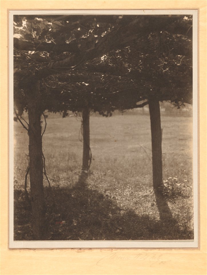 The Arbor MET DP-12776-001