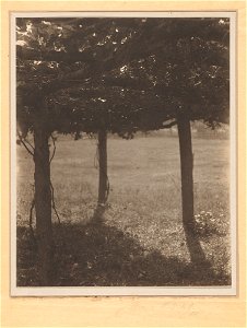 The Arbor MET DP-12776-001