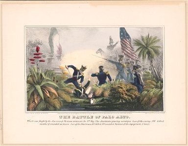 The Battle of Palo Alto-Which was fought by the American & Mexican armies, on the 8th May ... - lith. & pub. by Sarony & Major. LCCN96516297