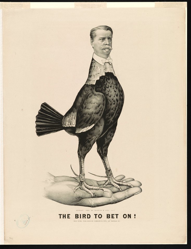 The bird to bet on LCCN96511715