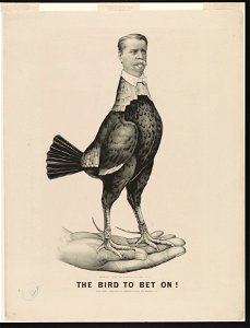The bird to bet on LCCN96511715