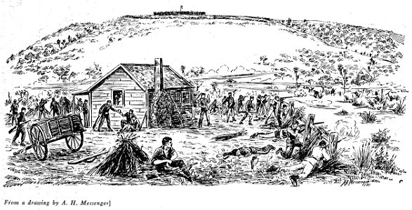 The battle of waireka