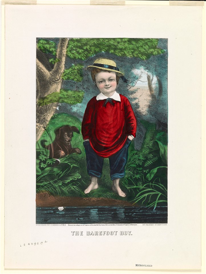 The barefoot boy LCCN90708931