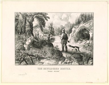 The bewildered hunter- Puzzle picture LCCN90711752