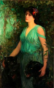 The Black Orchid - Frederick Stuart Church-1909.7.12 1a Smithsonian American Art Museum