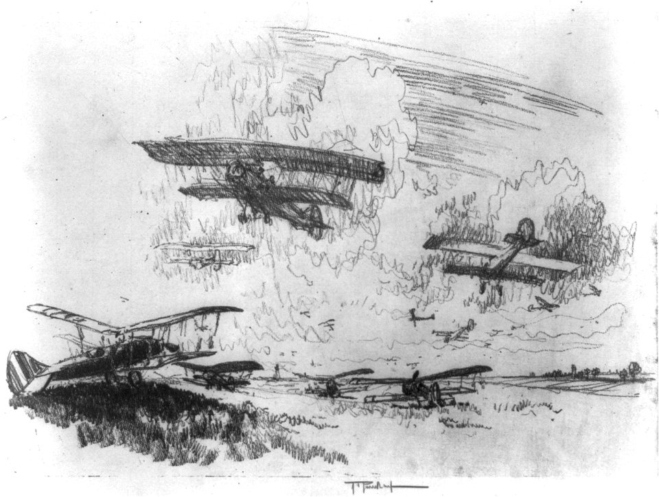 The birds of war LCCN2003673247