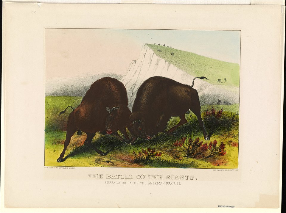 The battle of the Giants LCCN90709456