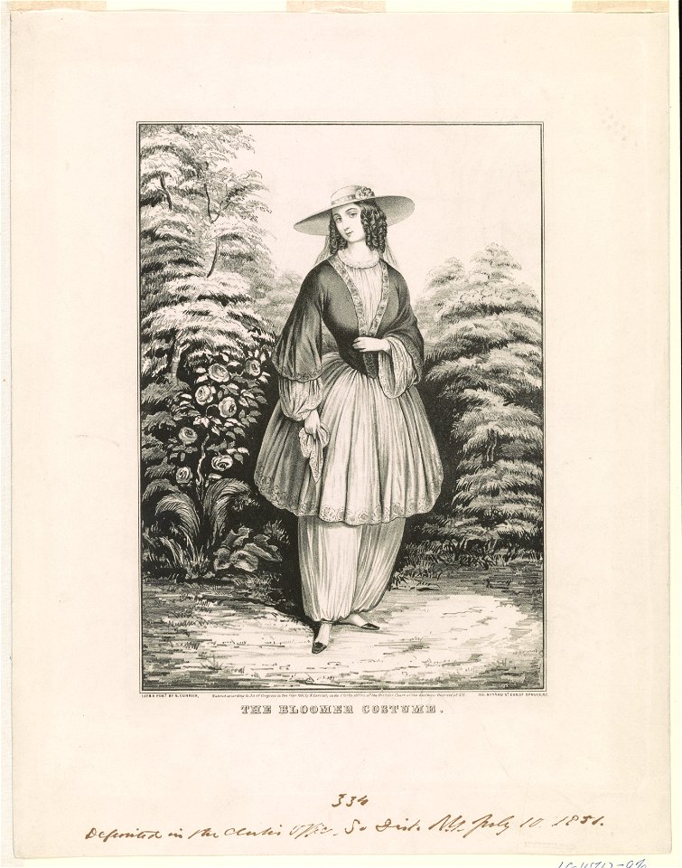 The bloomer costume LCCN90711963