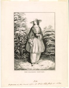 The bloomer costume LCCN90711963