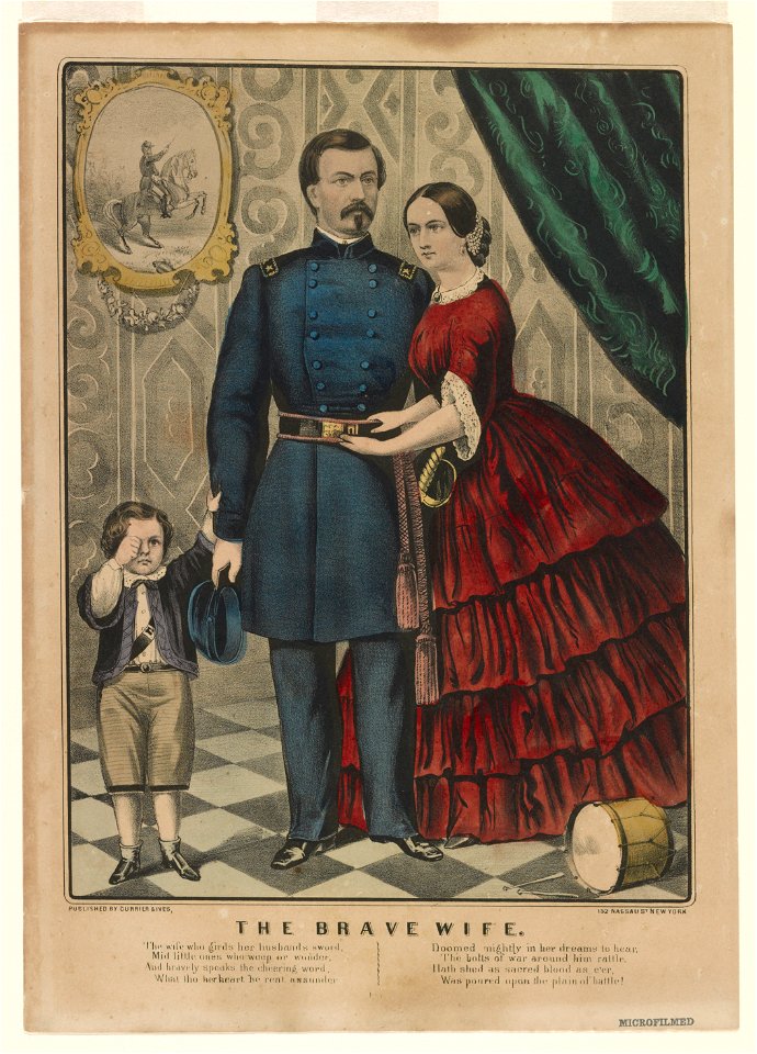 The brave wife LCCN90712374