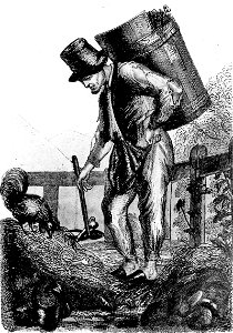 The bone collector, 1844