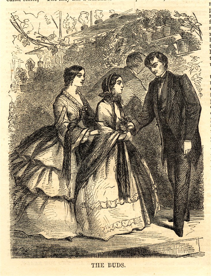 The buds (Boston Public Library)