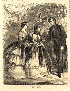 The buds (Boston Public Library)