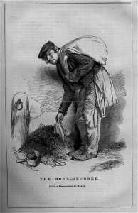 The Bone-Grubber