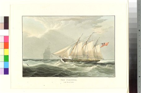 The Calypso Captn Burn's Yacht RMG PY0456