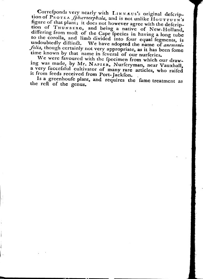 The Botanical Magazine-Vol 19 text(2) 698